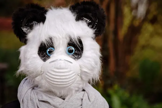 كازينو إيت ستورم الدعم